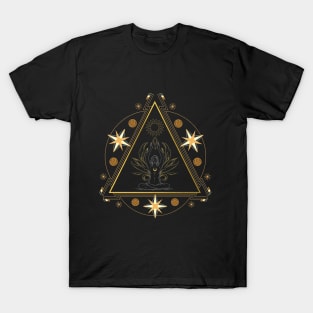 connection to the cosmos T-Shirt